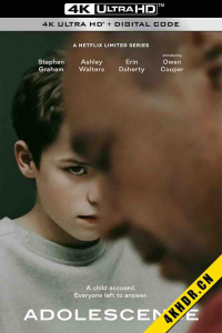 混沌少年时 Adolescence 2025 青春期 4集 英国 8.8 -bluray