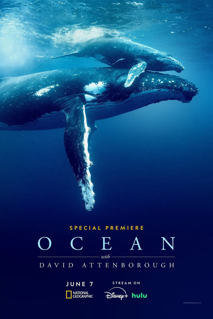 图片[1]-大卫·爱登堡：海洋 WEB-DL版下载/Ocean with David Attenborough 2025 David Attenborough: Ocean 7.87G-bluray