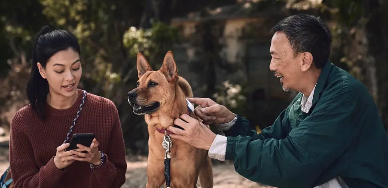 图片[2]-得宠先生 蓝光高清MKV版/狗转人生 / An Abandoned Team 2024 得宠先生 11.65G-bluray